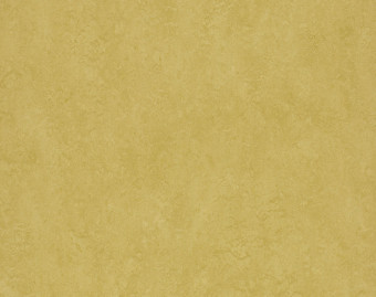 [100111112_36] Marmoleum Fresco - 3259 mustard